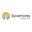 Sycamores