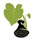 Hawaii Health & Harm Reduction Center