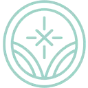 Illuminus