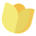Delion Care Services
